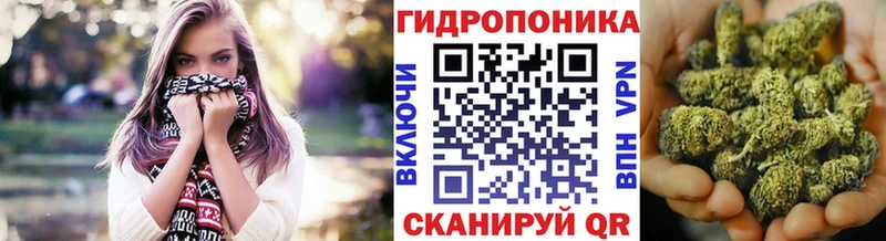 darknet наркотические препараты  Острогожск  Конопля тримм  как найти  